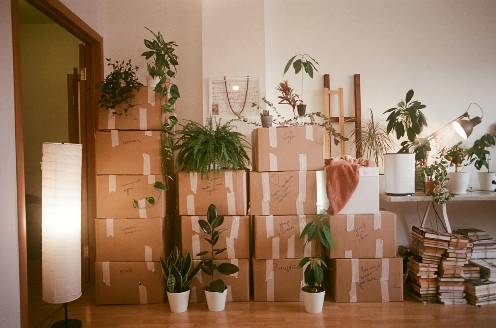 Pacific Crest Movers residential moving crew in Lower Mainland
